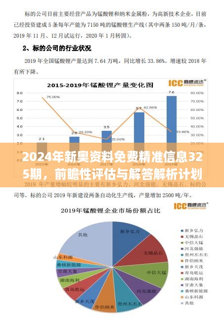 新奥正版资料与内部资料,新奥正版资料与内部资料的深度解析