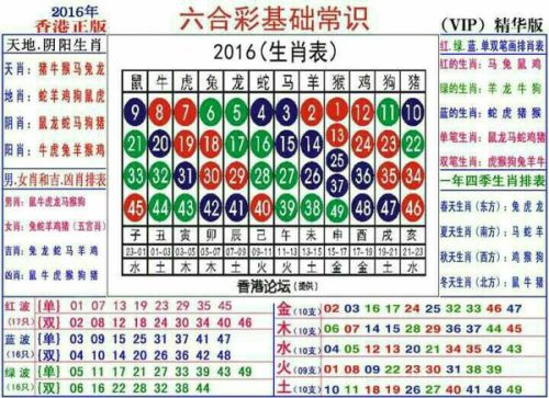 2024十二生肖49码表,揭秘2024十二生肖与数字彩票的奇妙结合——49码表详解