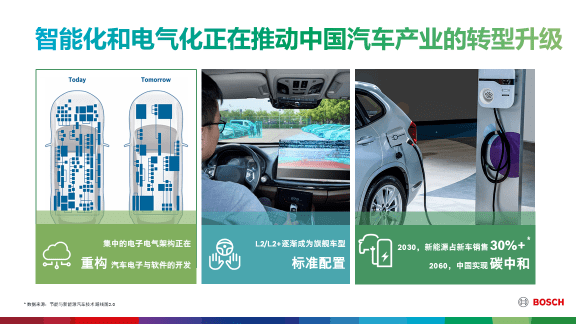 澳门精准正版免费大全14年新,澳门精准正版免费大全14年新，揭示违法犯罪问题的重要性与应对策略