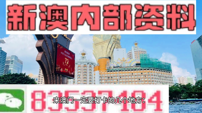 2024今晚澳门开特马四不像,探索澳门特马，四不像的魅力与期待