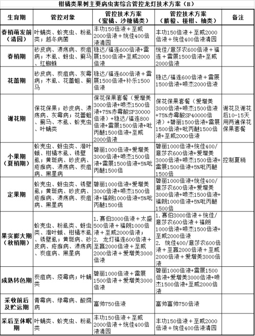 新澳精准资料期期精准24期使用方法,新澳精准资料期期精准24期使用方法详解