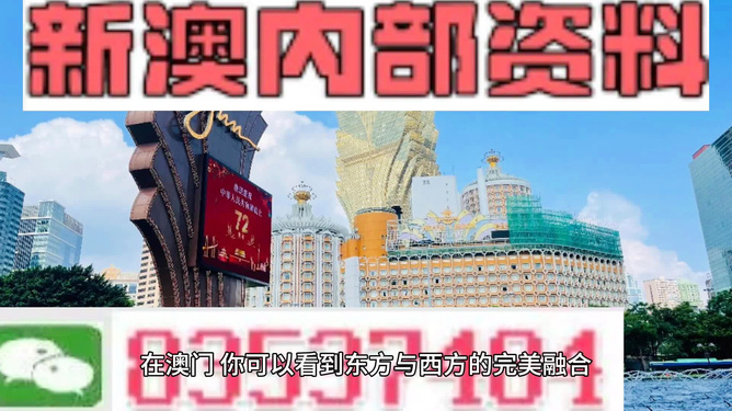 2025新澳免费资料澳门钱庄,探索未来新澳免费资料与澳门钱庄的发展蓝图