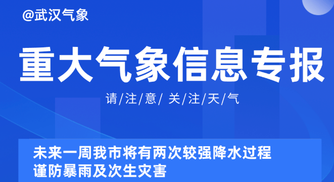 2025新奥资料免费精准,揭秘未来蓝图，探索新奥资料免费精准的世界